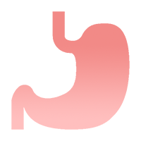 Gastrointestinal System Icon