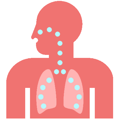Respiratory System Icon